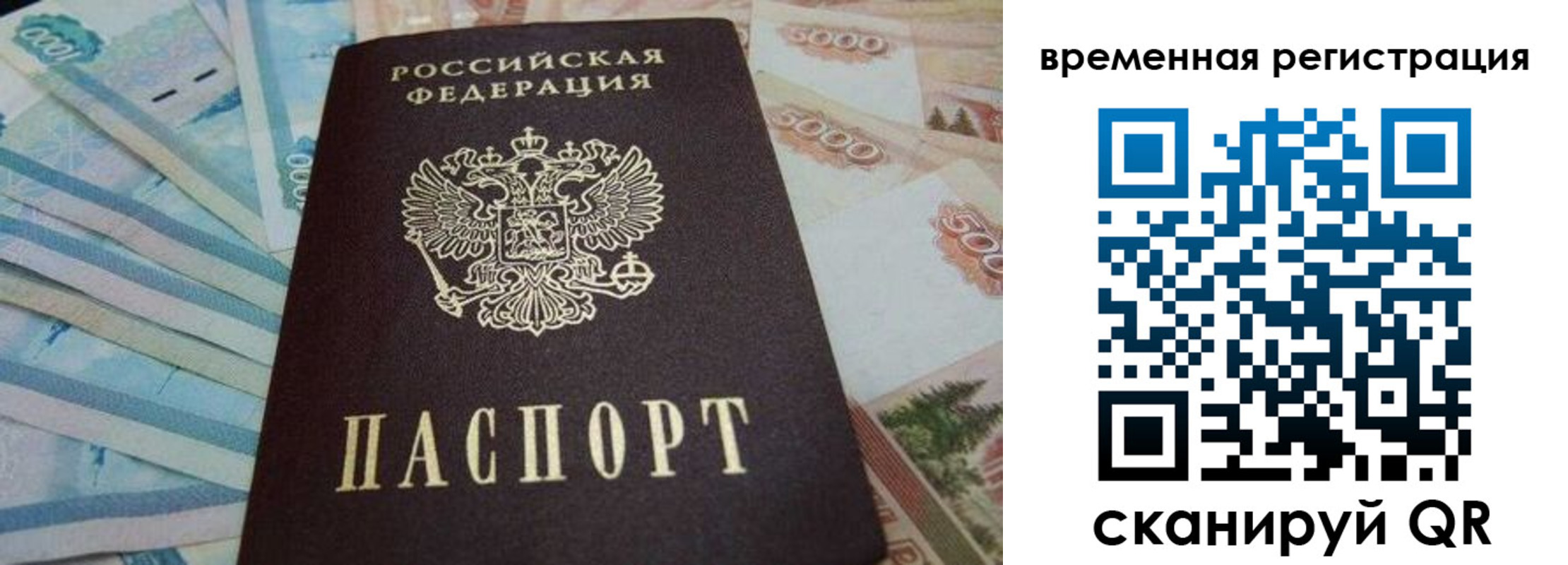 временная регистрация гарантия в Электростали